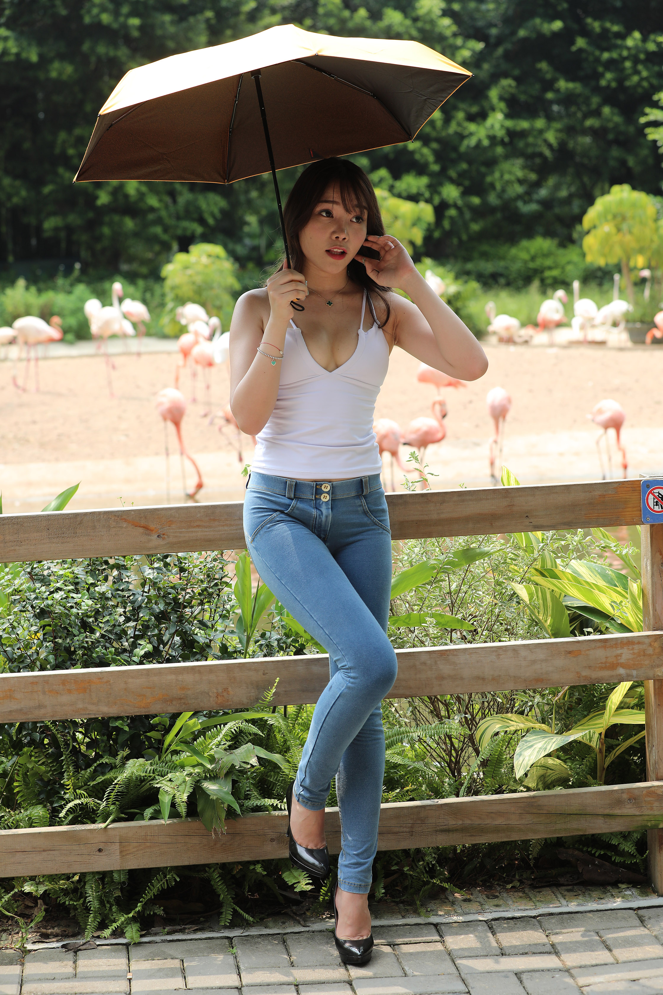 amateur photo I97A1156