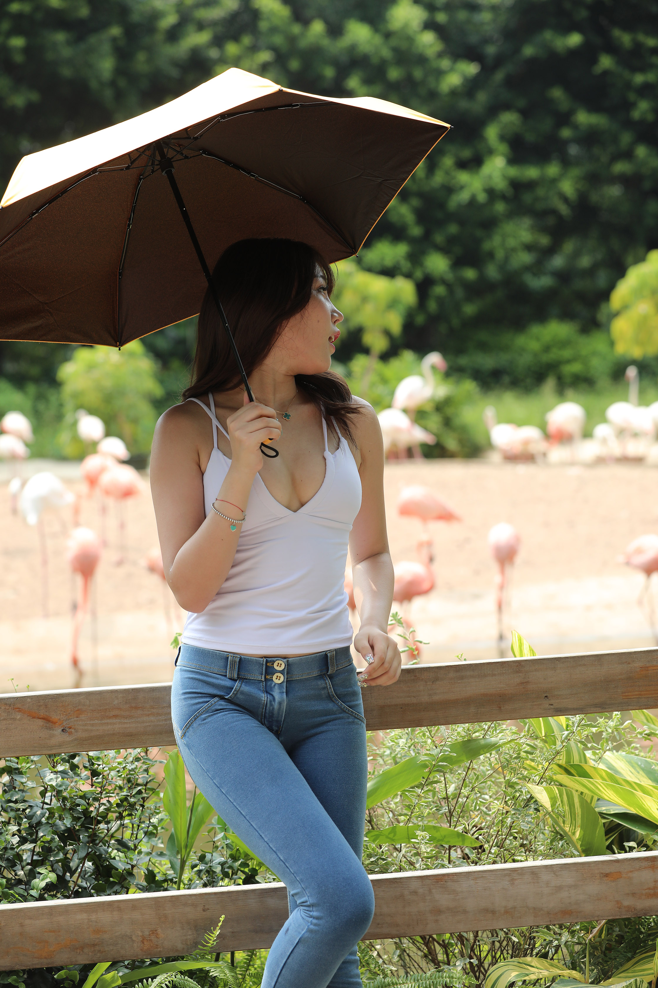 amateur photo I97A1157