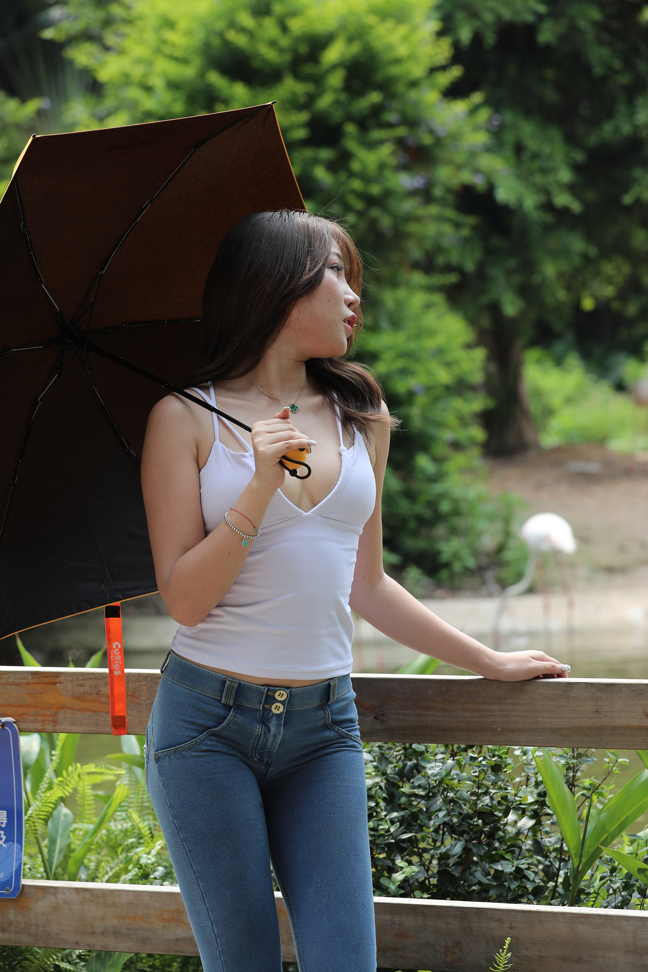 amateur photo I97A1165