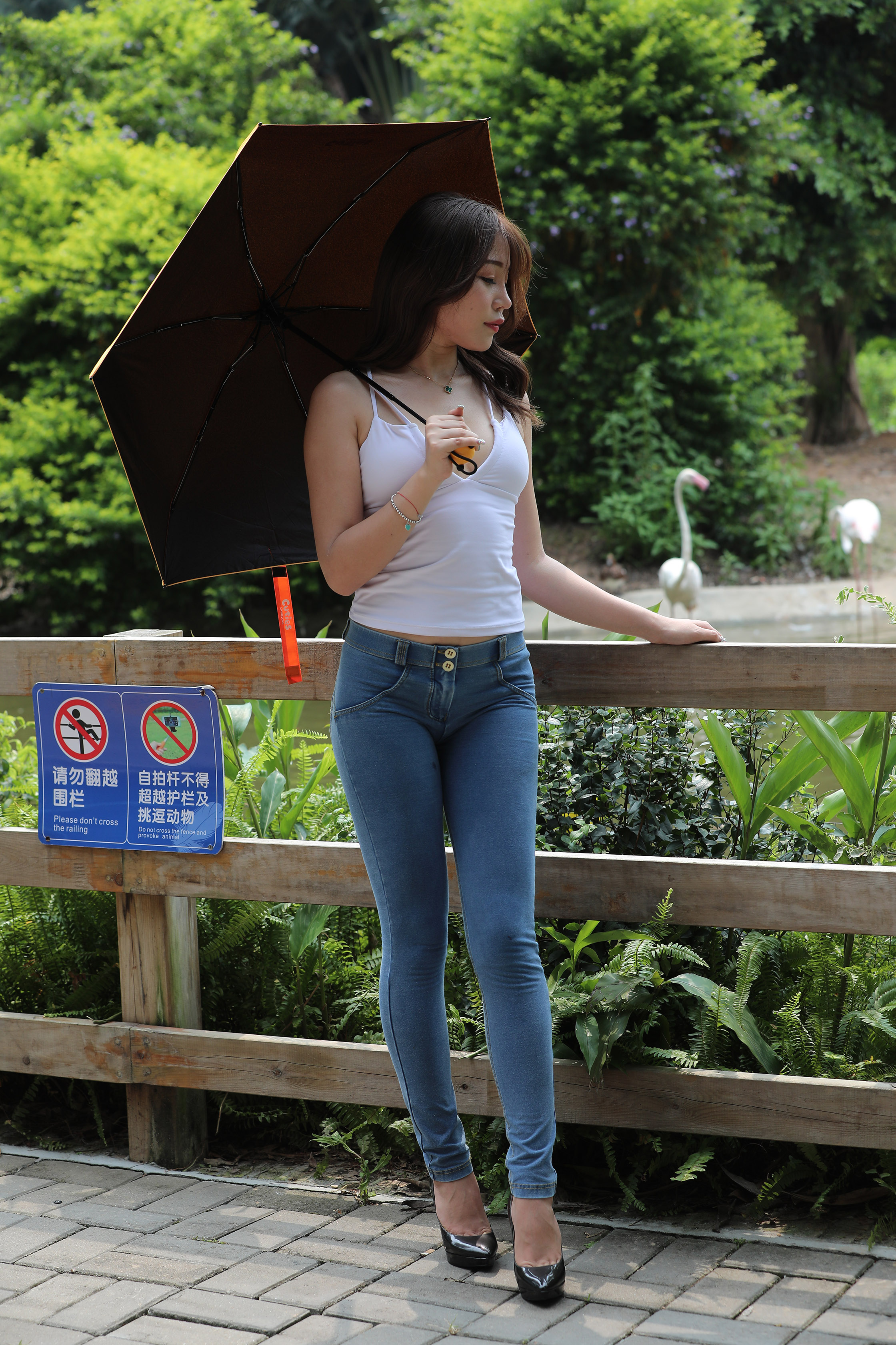 amateur photo I97A1167