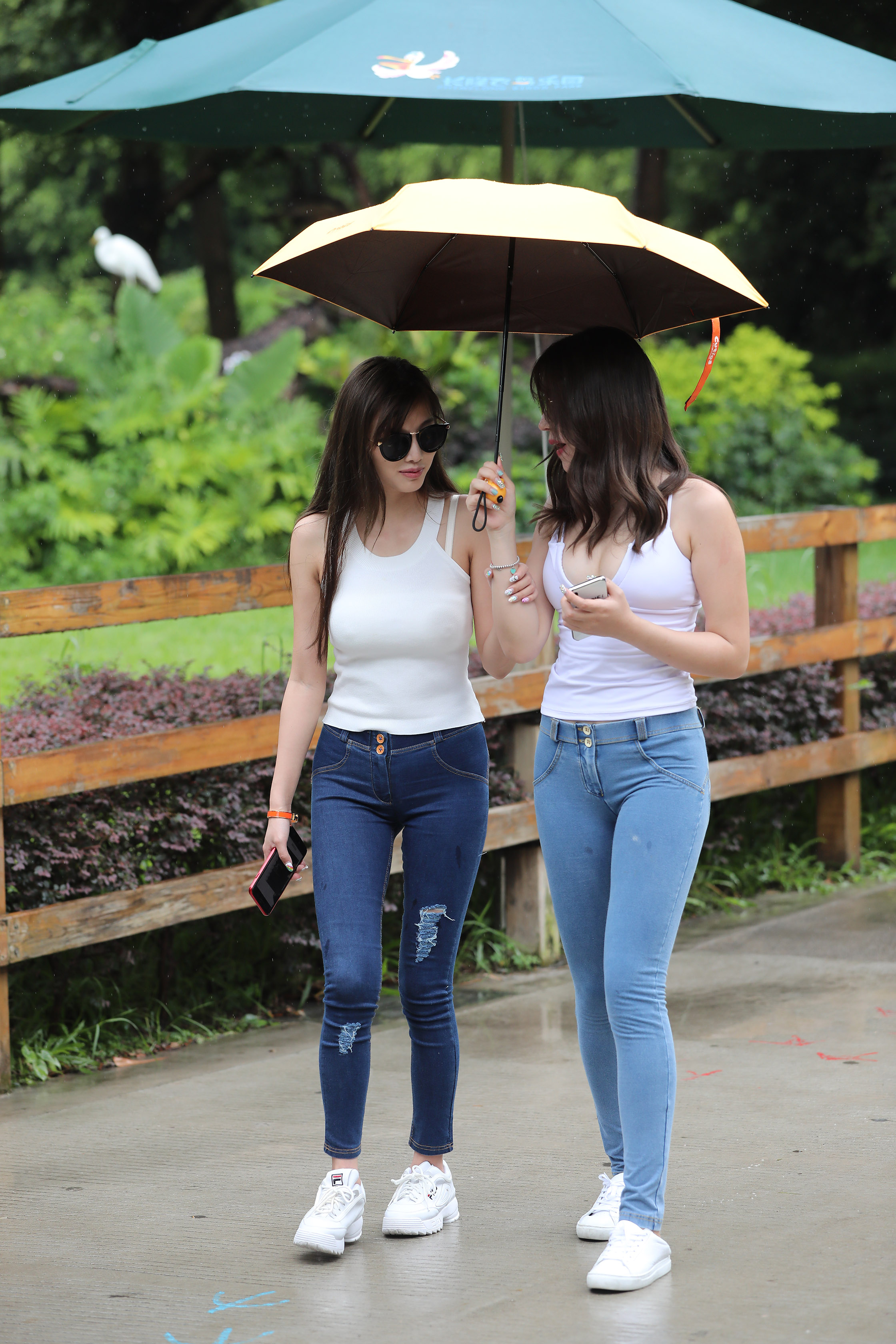 amateur photo I97A1246