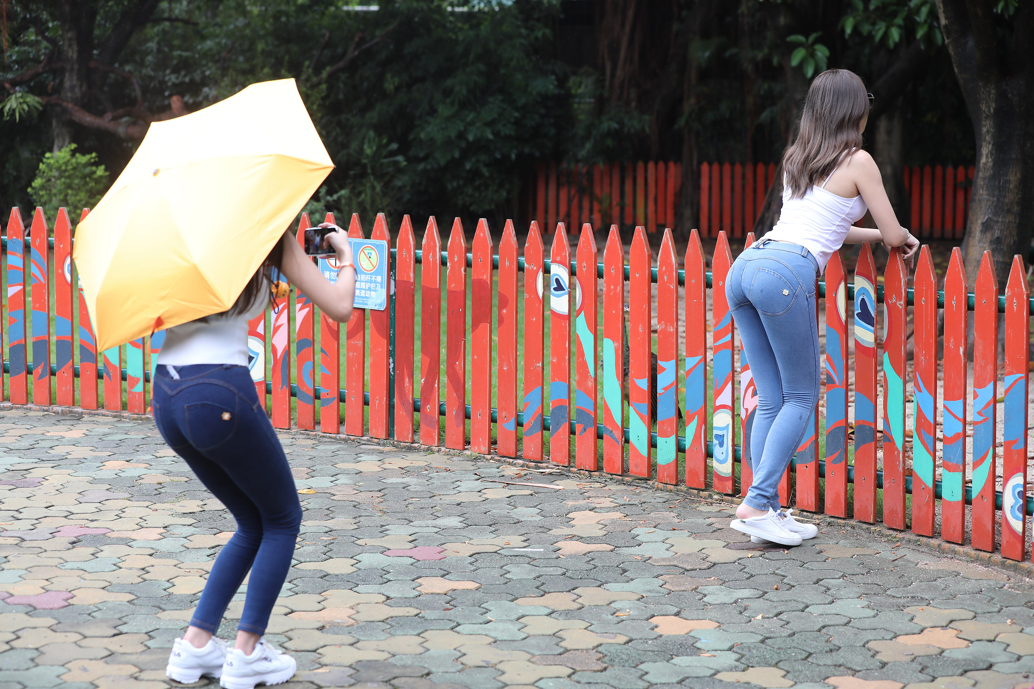 amateur photo I97A1317