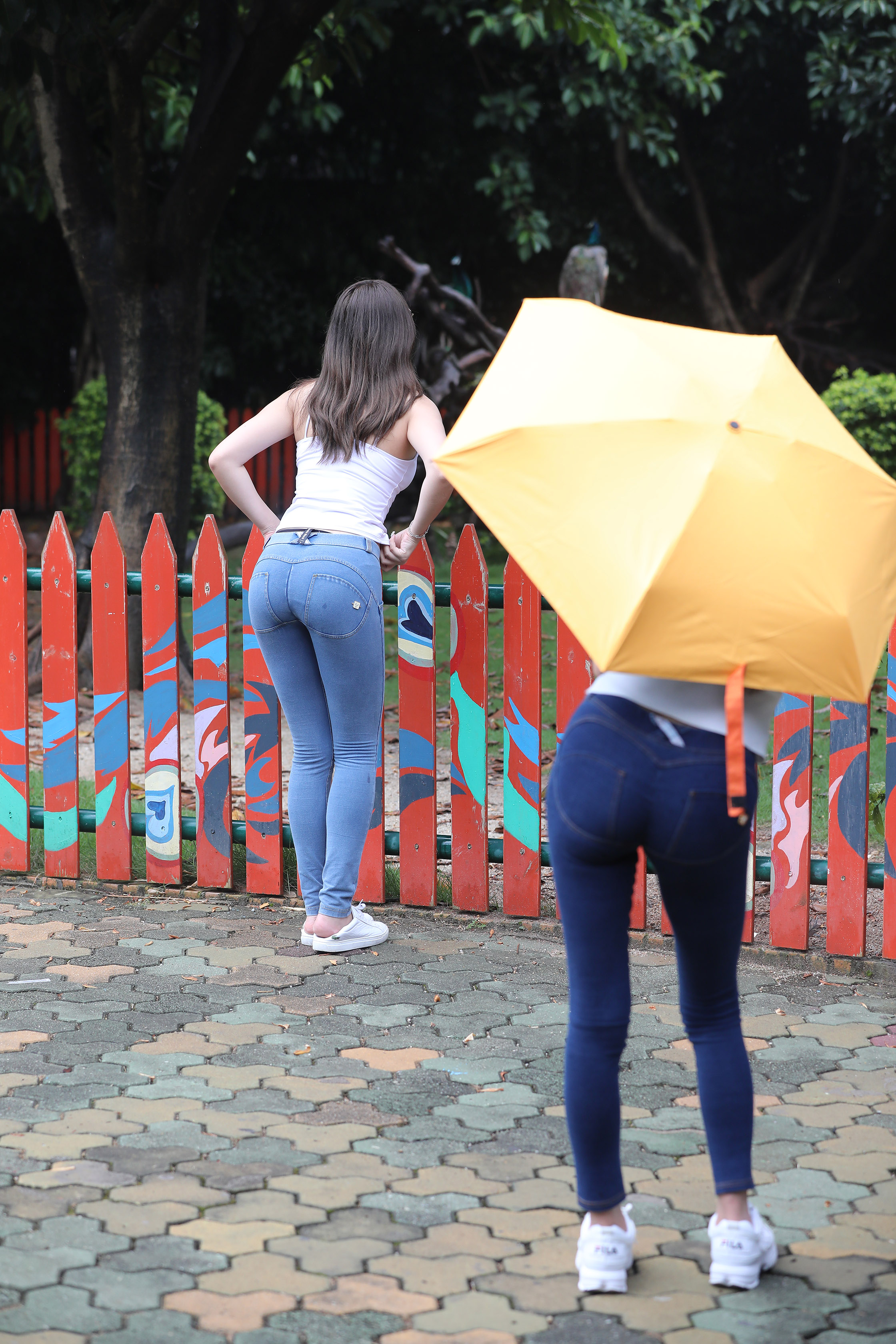 amateur photo I97A1320