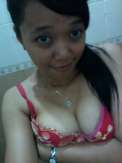 orca-image--1600325495