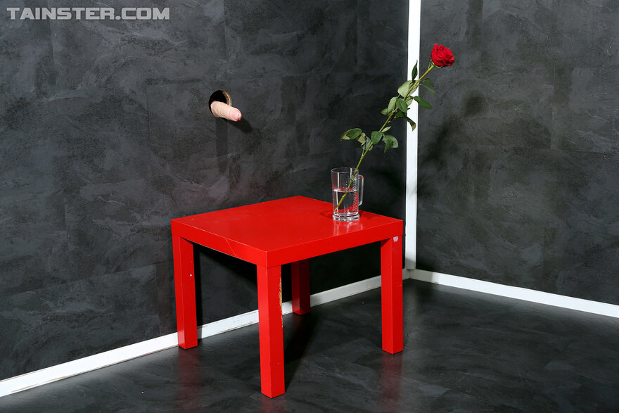 MLAZ - Roses Are Red Spunk Is White - 0015 - rrws_015