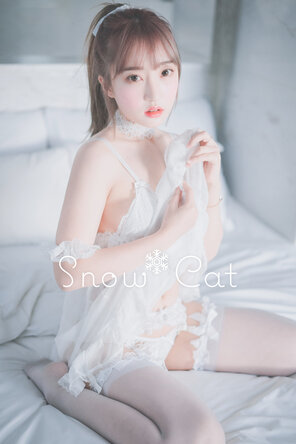 foto amateur DJAWA Photo - HaNari (하나리) - Snow Cat (35)