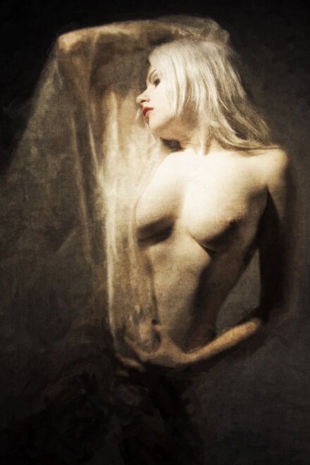 reblogme-8911-zXEL1terZ6