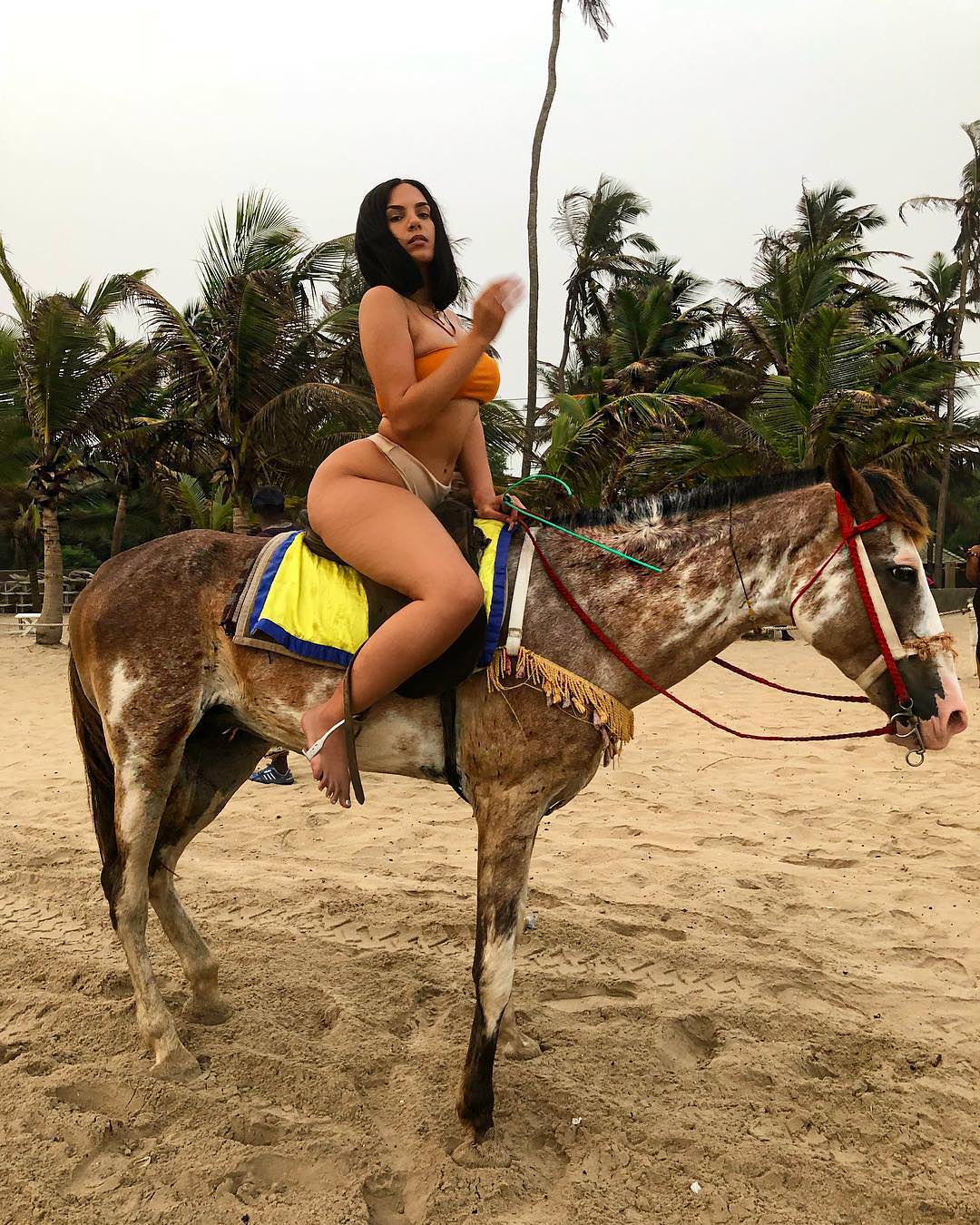Sex On Horseback - Horseback Porn Pic - EPORNER