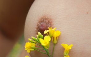 zdjęcie amatorskie Behind a Flower