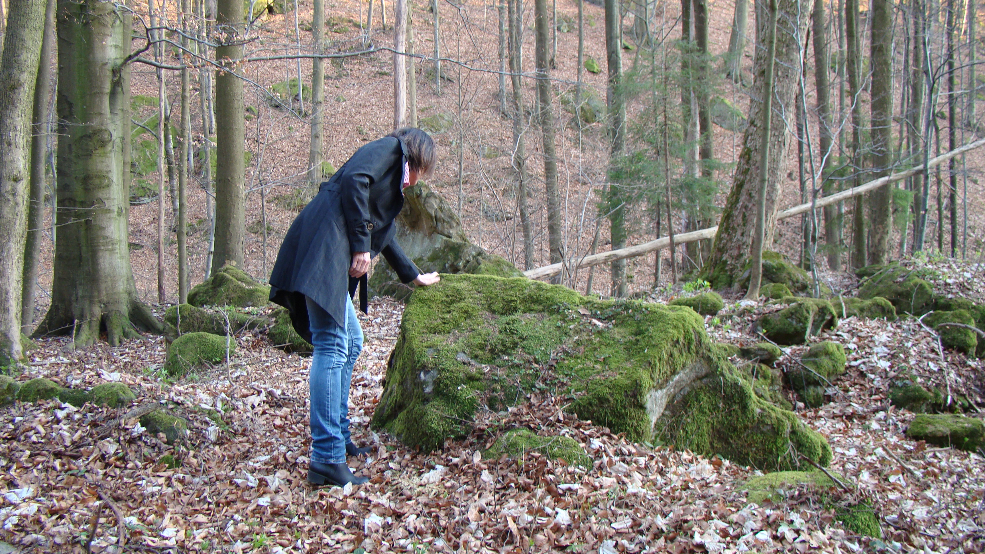 amateur photo 0106837