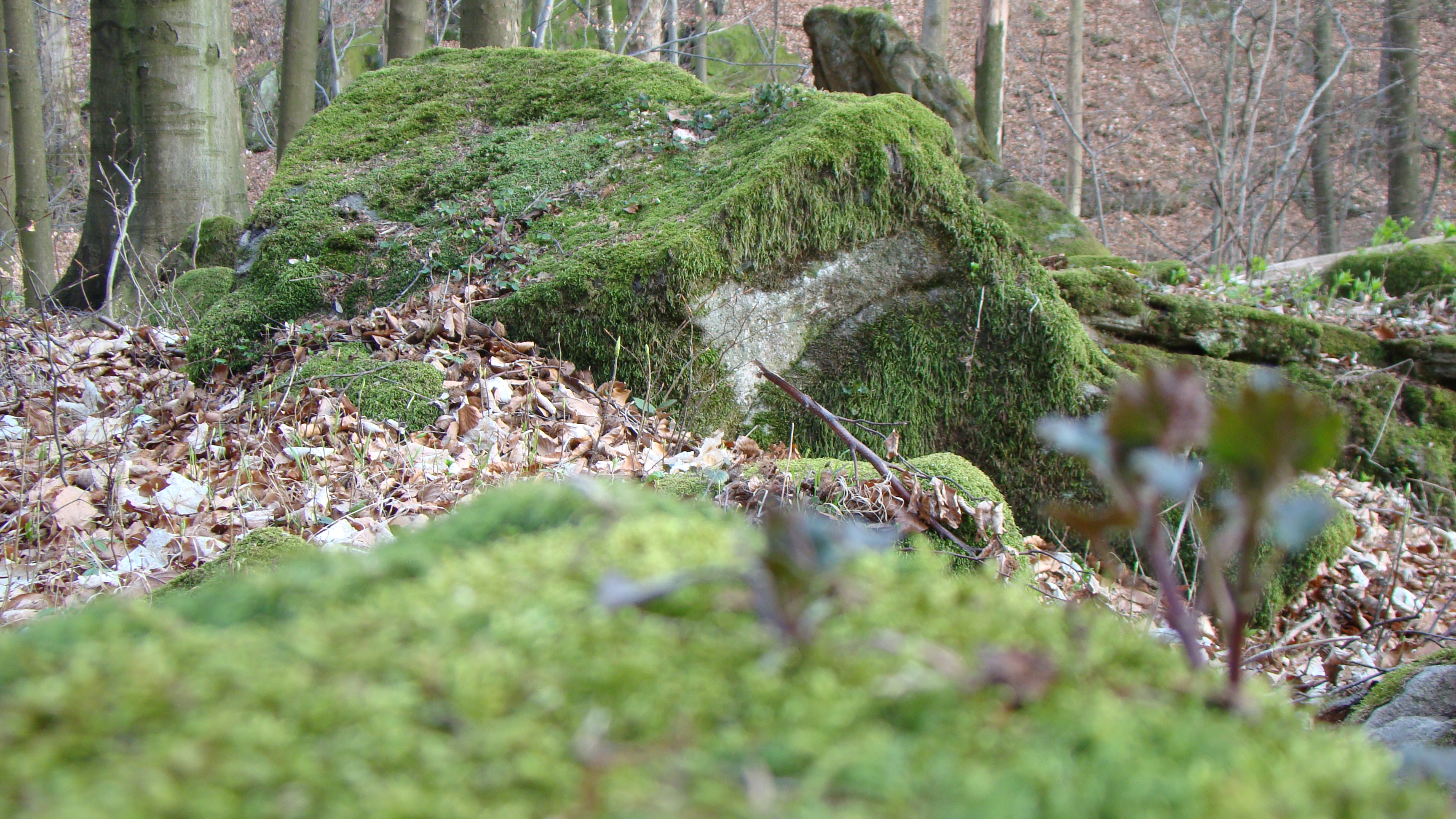 amateur photo 0106841