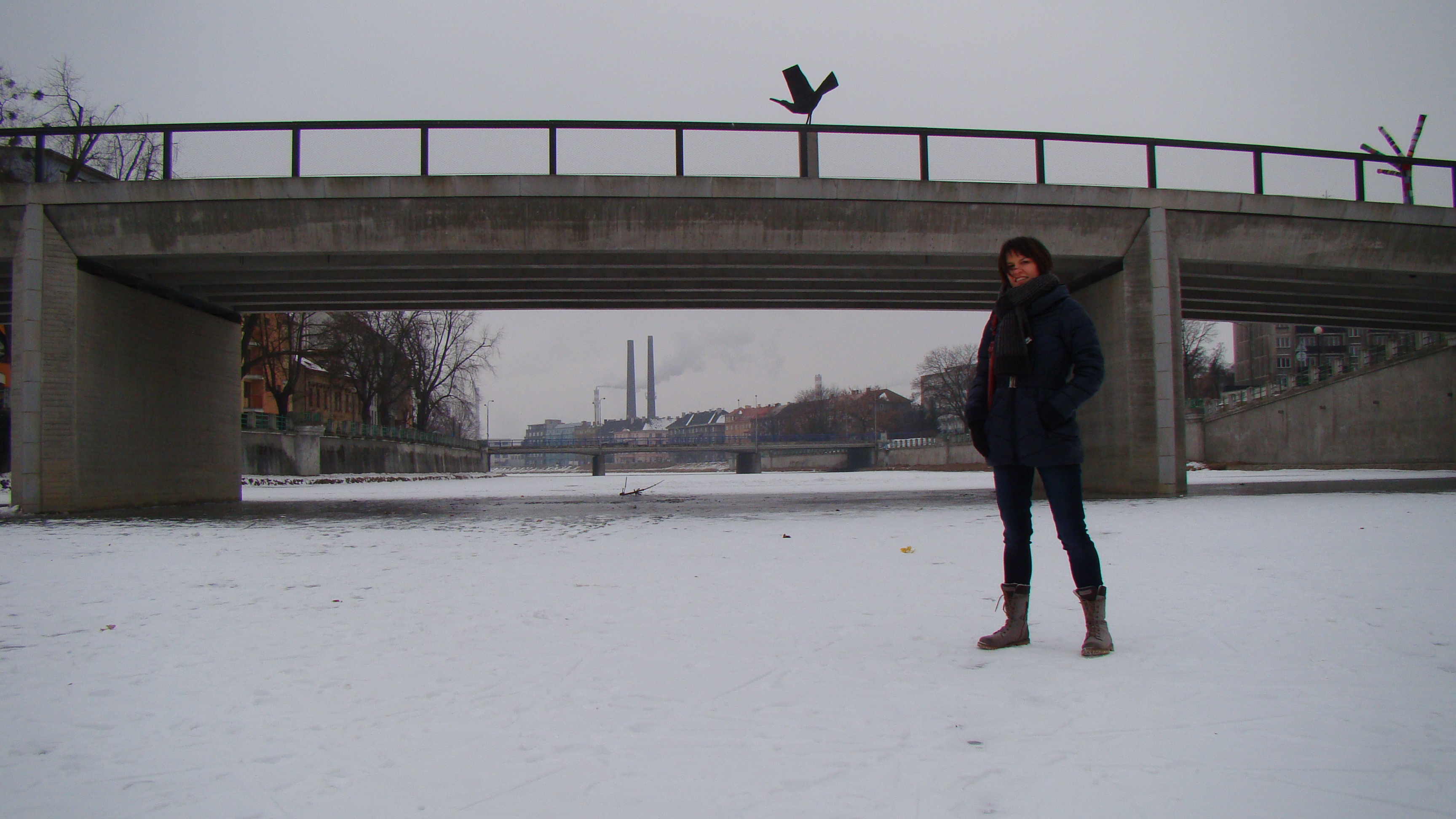 amateur photo DSC07604