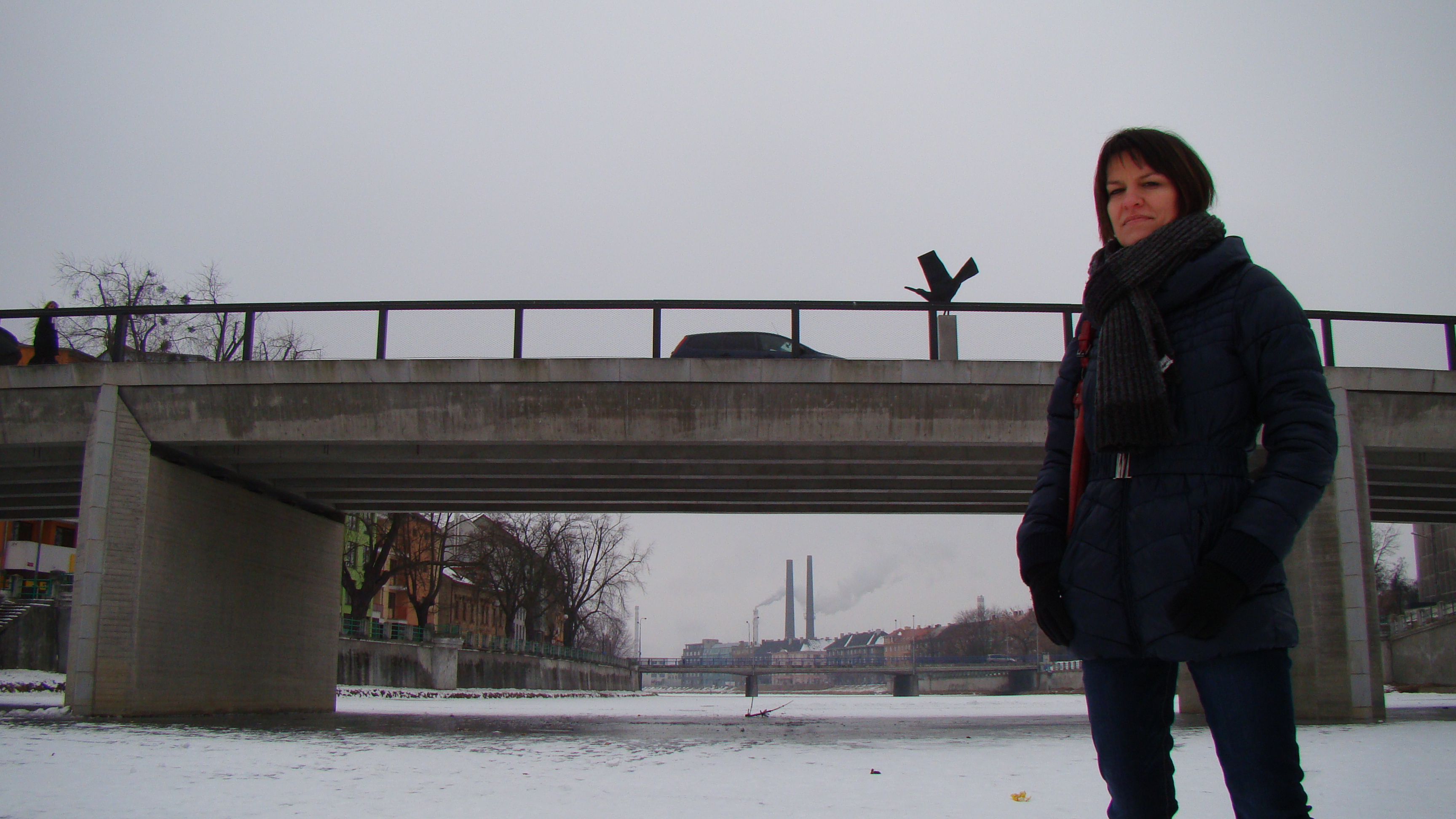 amateur photo DSC07606