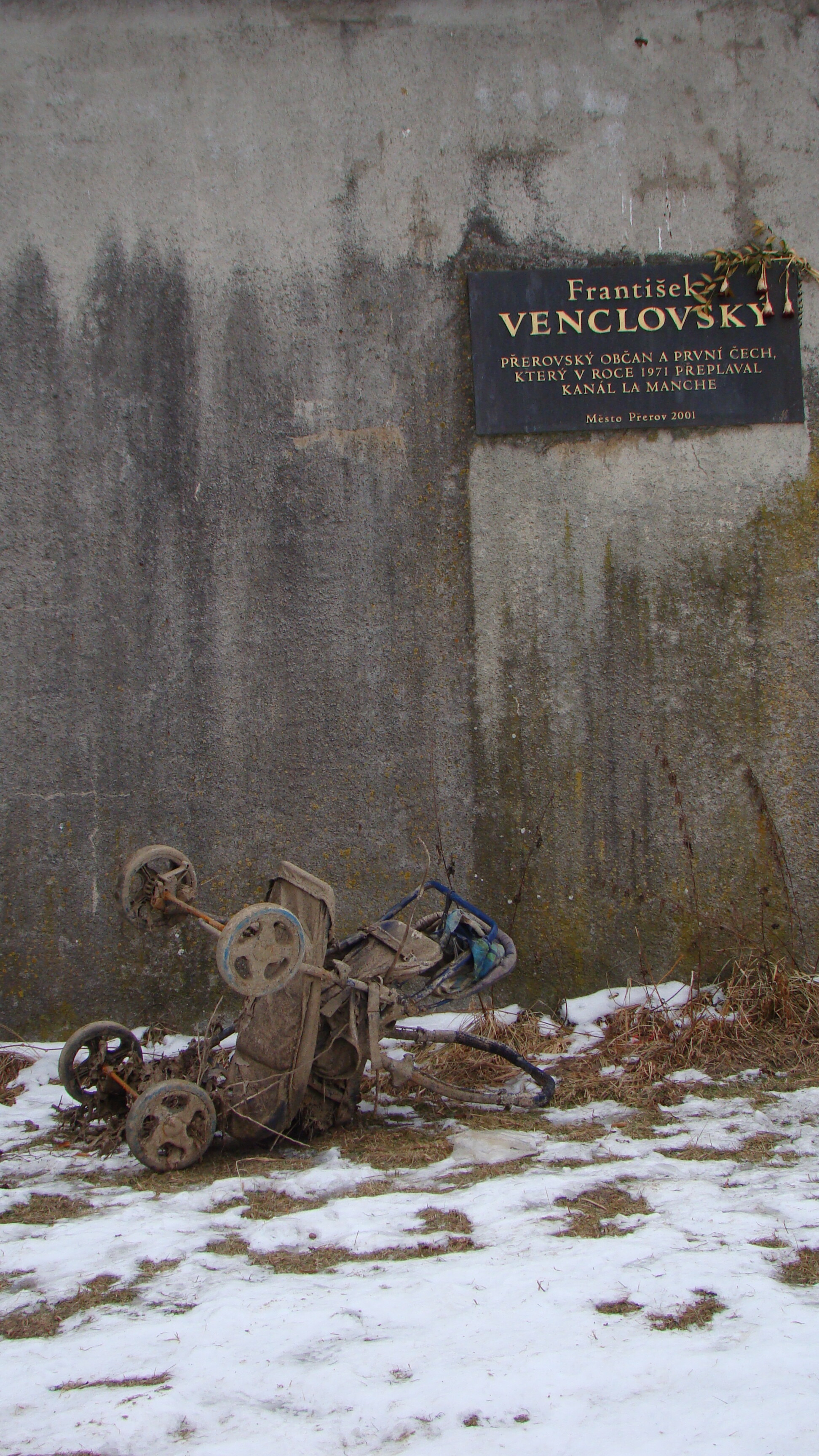 amateur photo DSC07614