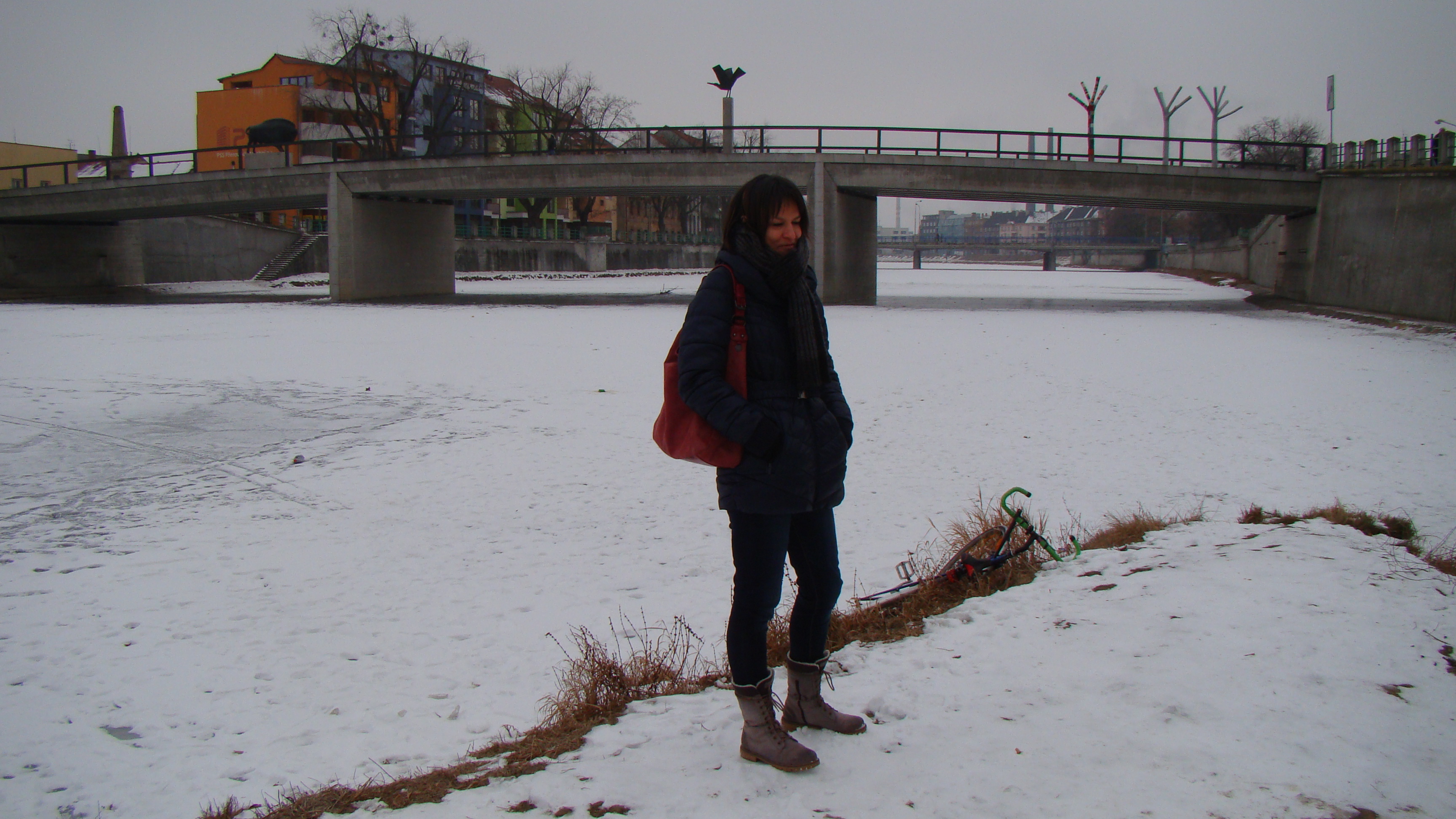 amateur photo DSC07616