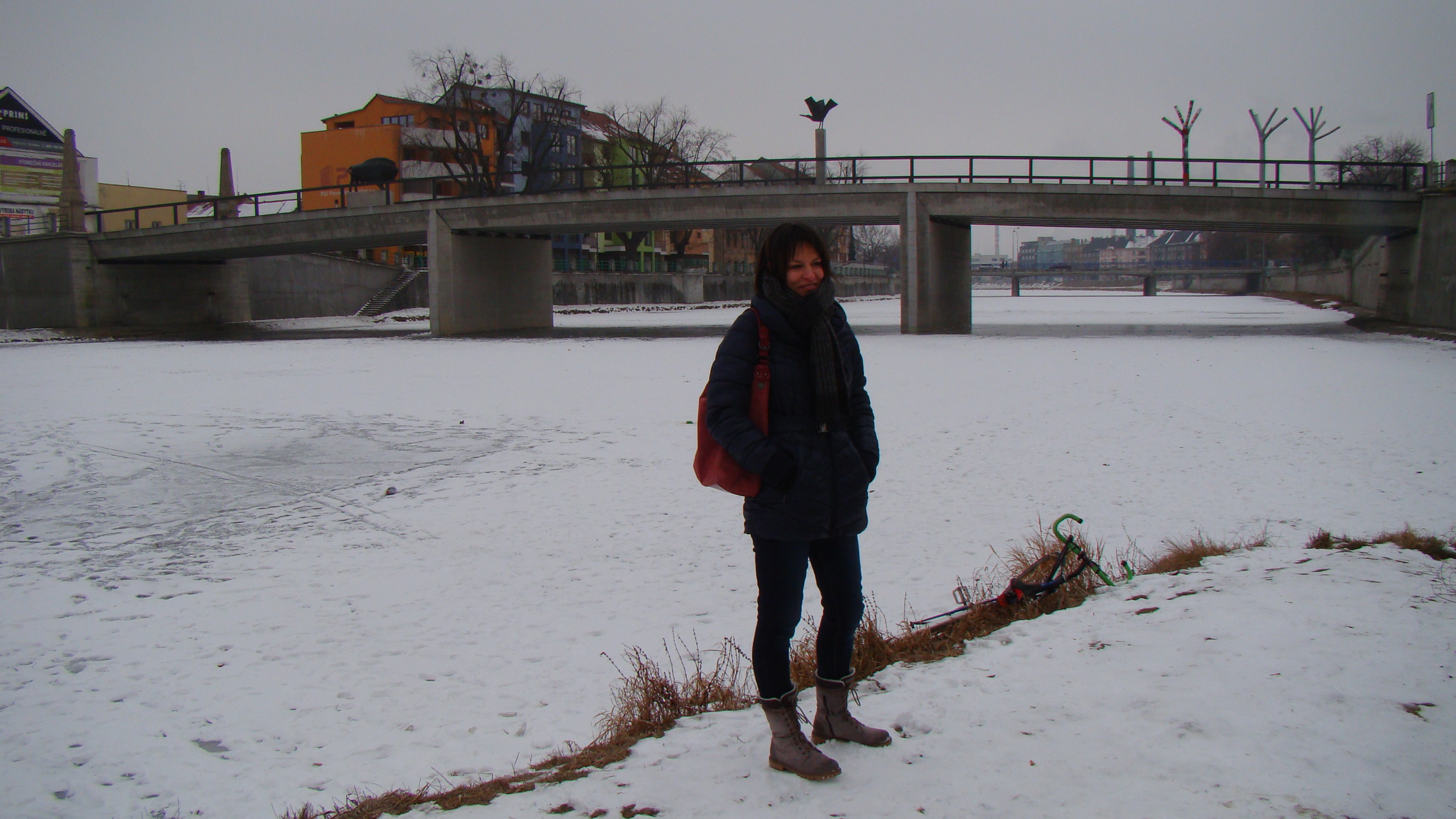 amateur photo DSC07617