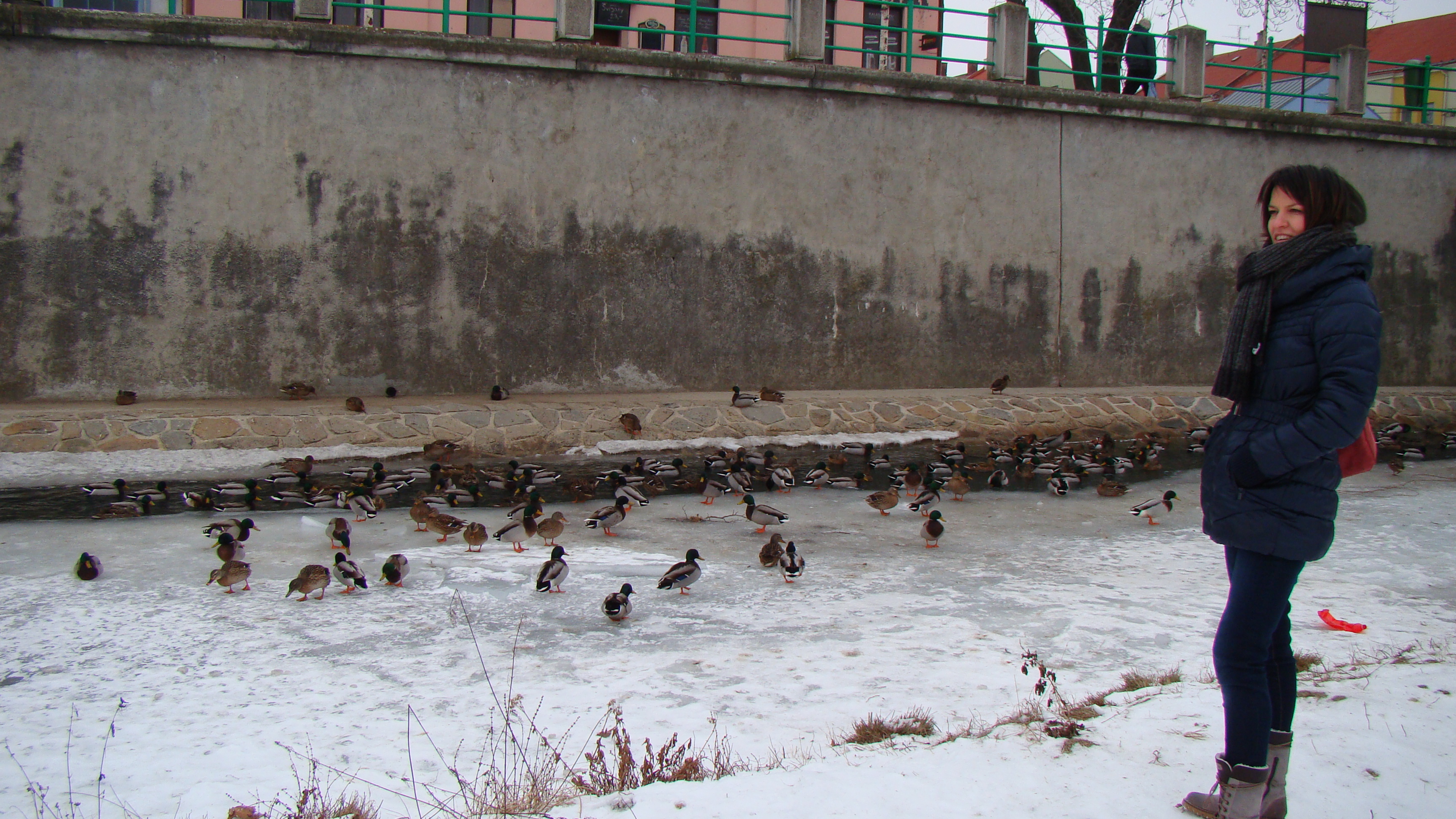 amateur photo DSC07622