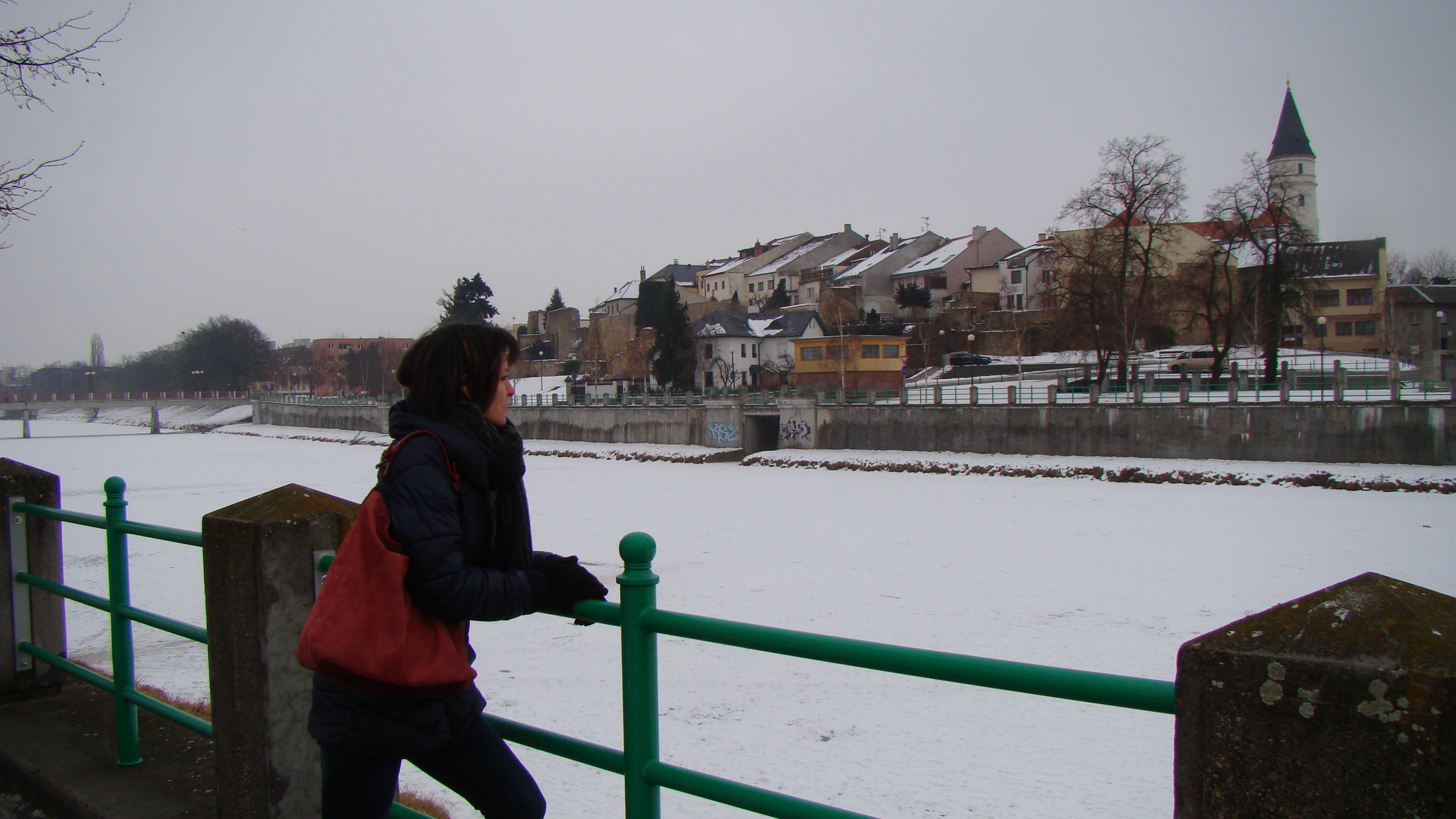 amateur photo DSC07624