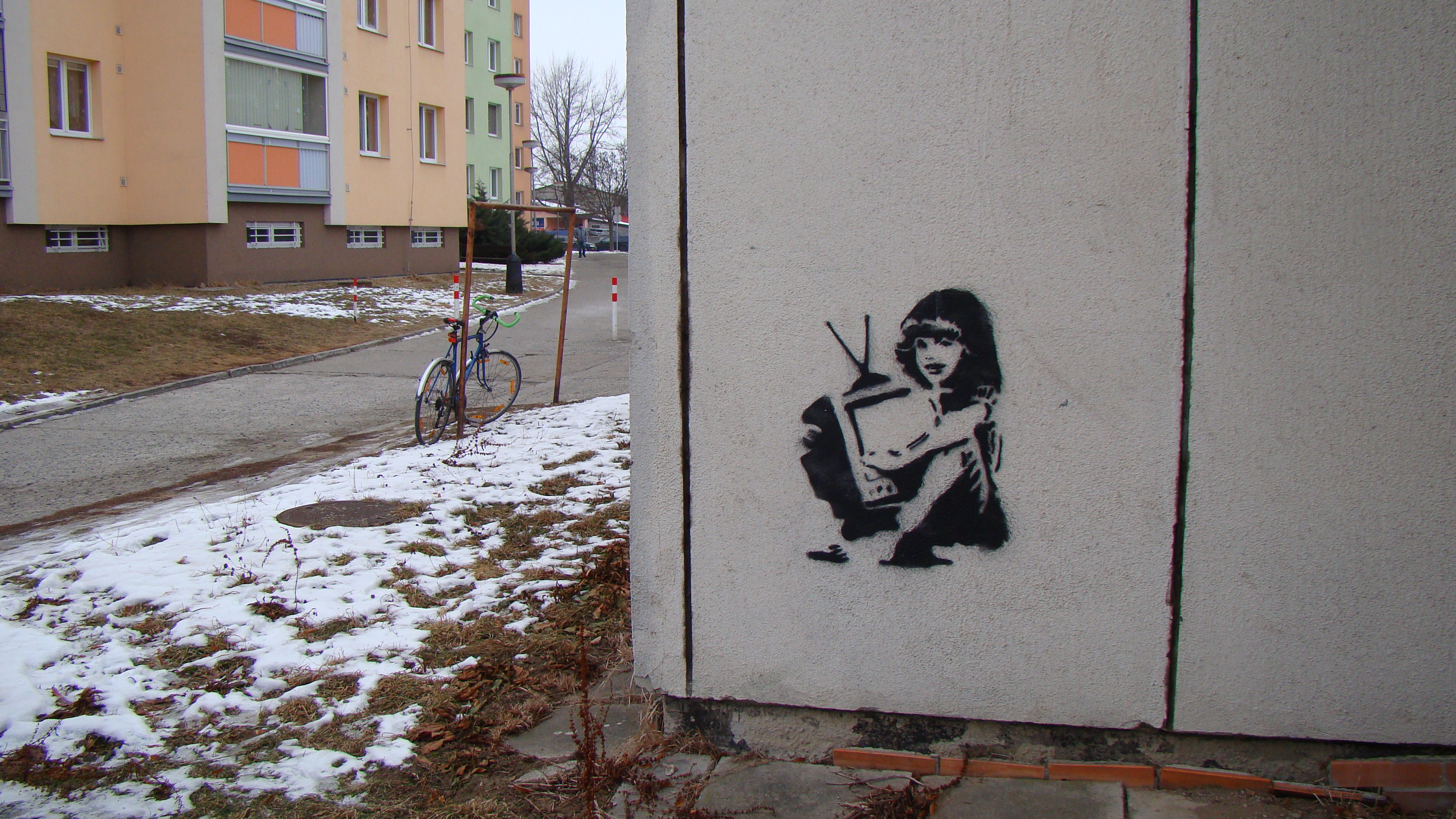 amateur photo DSC07626