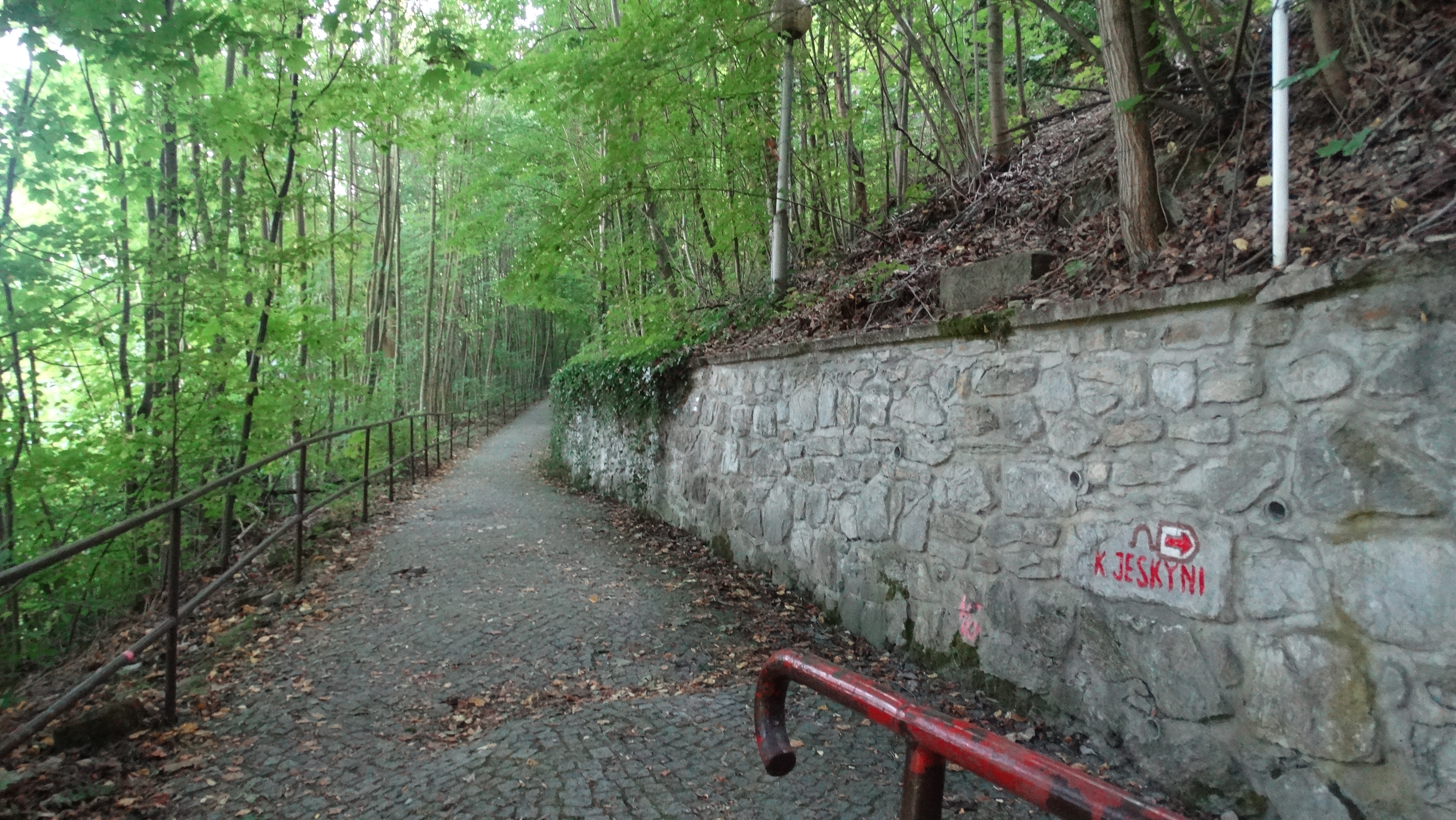 amateur photo DSC01984