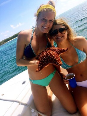 foto amadora Giant starfish