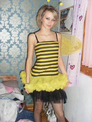 amateur photo honey bee