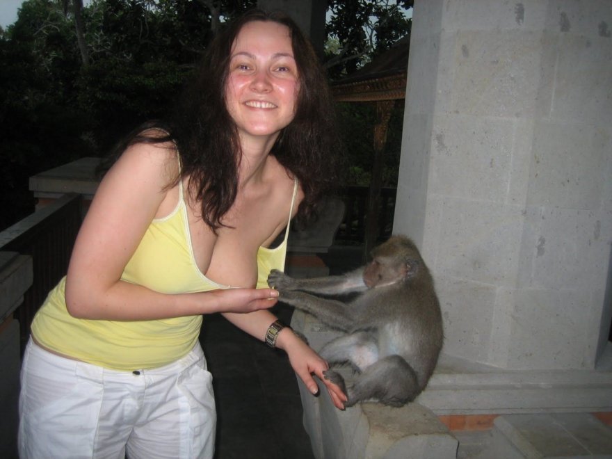 Smart monkey enjoys embarrassing this girl while checking out her lovely boobs
