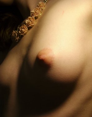 amateurfoto beautiful nips and boob combo!