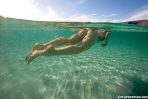 アマチュア写真 snorkel, scuba and free diving vol1