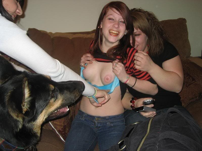 Dogwwwx - Canidae Dog breed Dog Fun Porn Pic - EPORNER