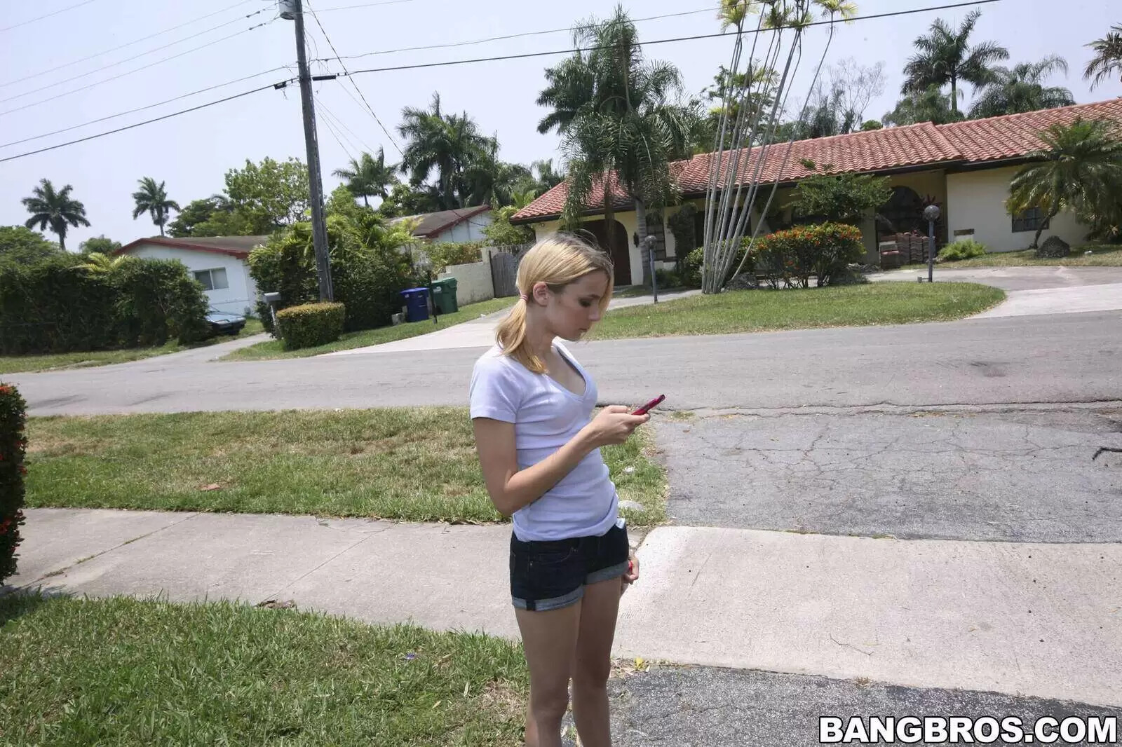 amateur photo 001_87afa38b4d3ef31780dff6ea41cd1485