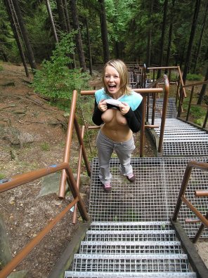 foto amadora Canopy walkway Bridge Rope bridge Tree 