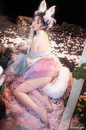amateur photo 29b0b79049649cc6f4