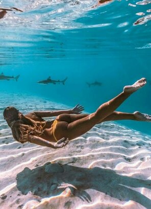foto amatoriale Swimming with the sharks