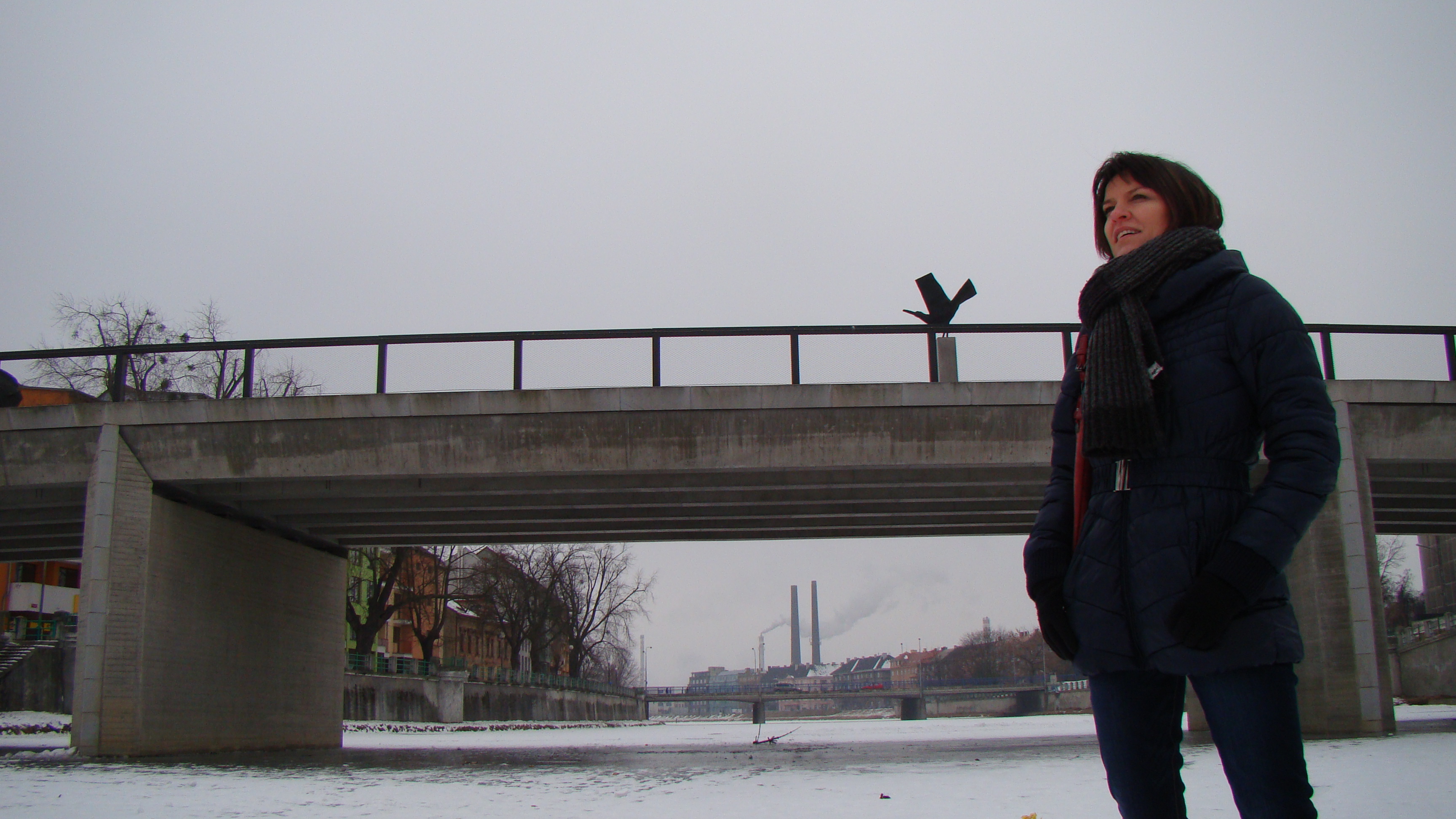 amateur photo DSC07605