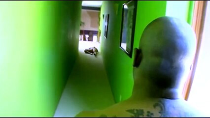 amateur photo 1000058441_frame_57