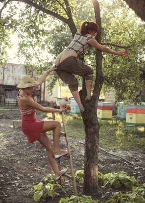 amateurfoto picking apples by Dubnitskiy David