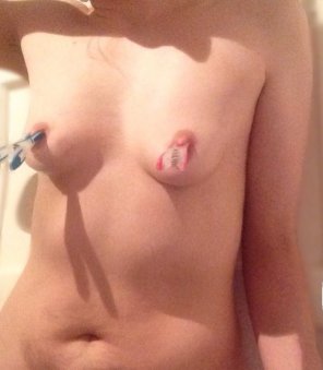 amateurfoto Clothes Pegs on my Tiny Titlets