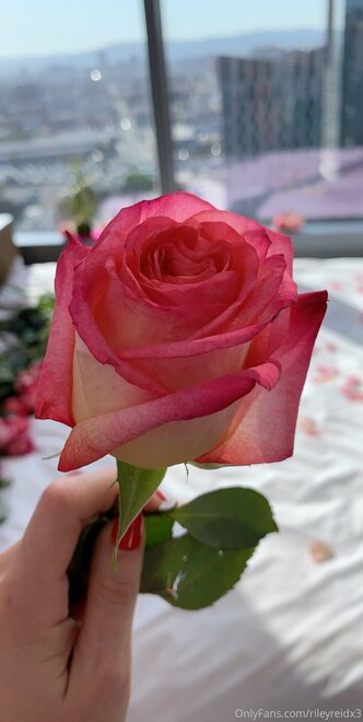 Riley_Reid (332) nude