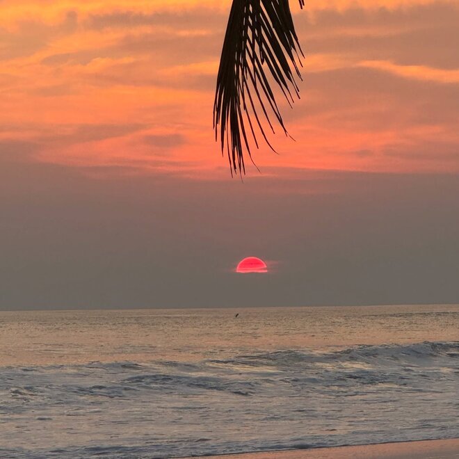 socanumatv_1743777039_3603385432957217439_67011775413