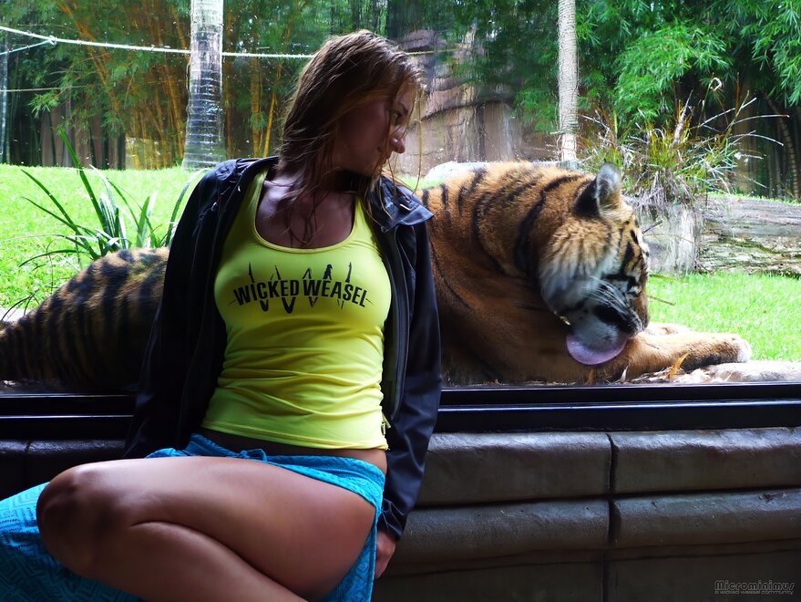 Weaseling in Australia 008-topaz-denoise