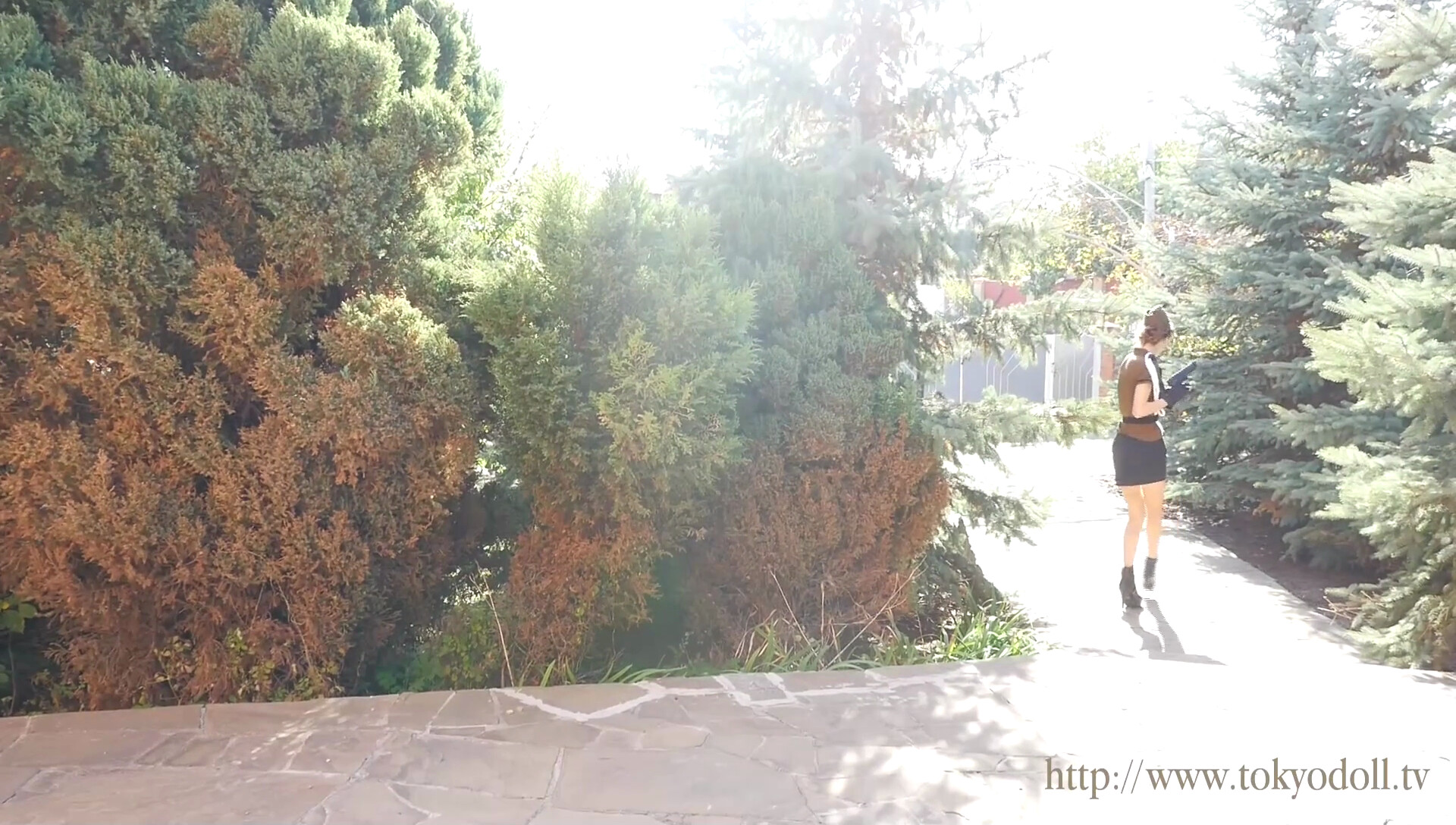 amateur photo scene00651