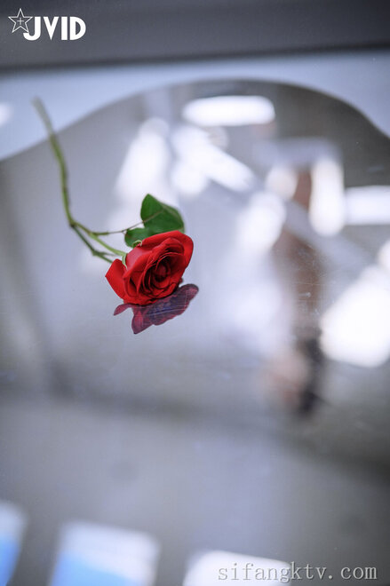 Rou-Bao-Mini- (242) nude