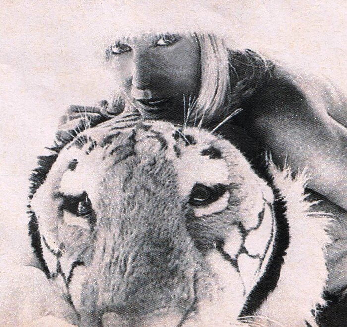 PAULA BURLAMAQUI (11)