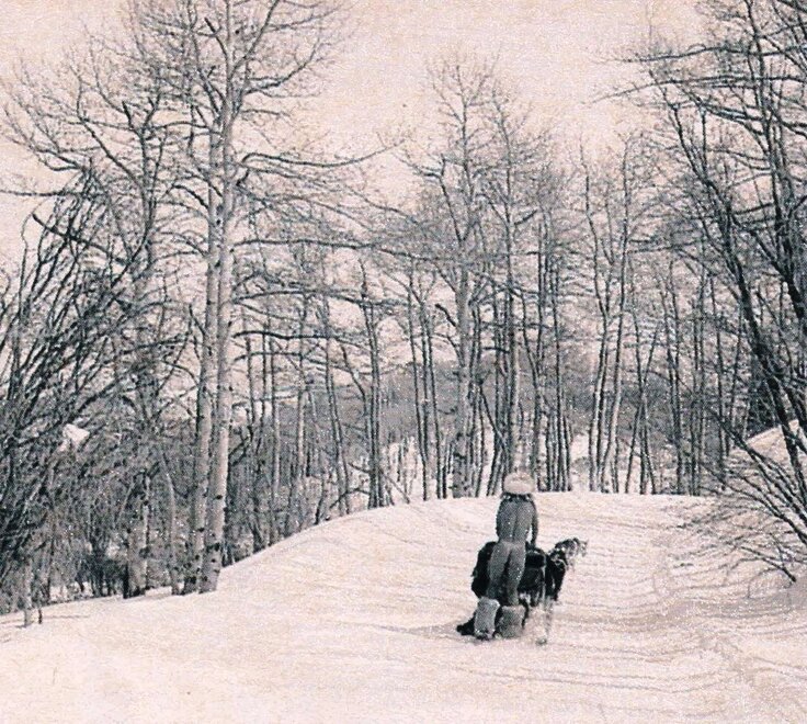 PAULA BURLAMAQUI (15)