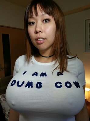 zdjęcie amatorskie What the shirt says