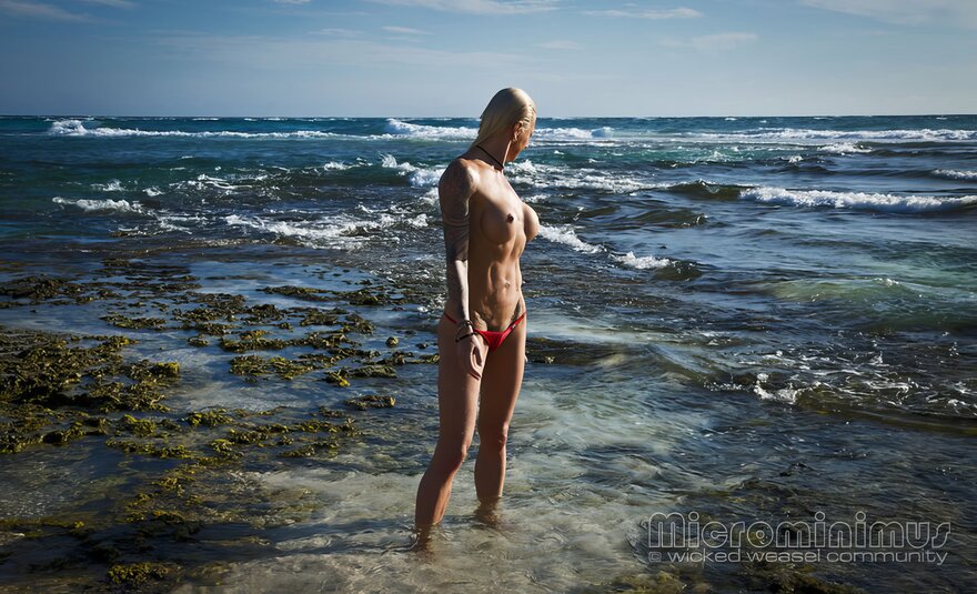 Red WW's on Aruba 112-topaz-enhance-4x