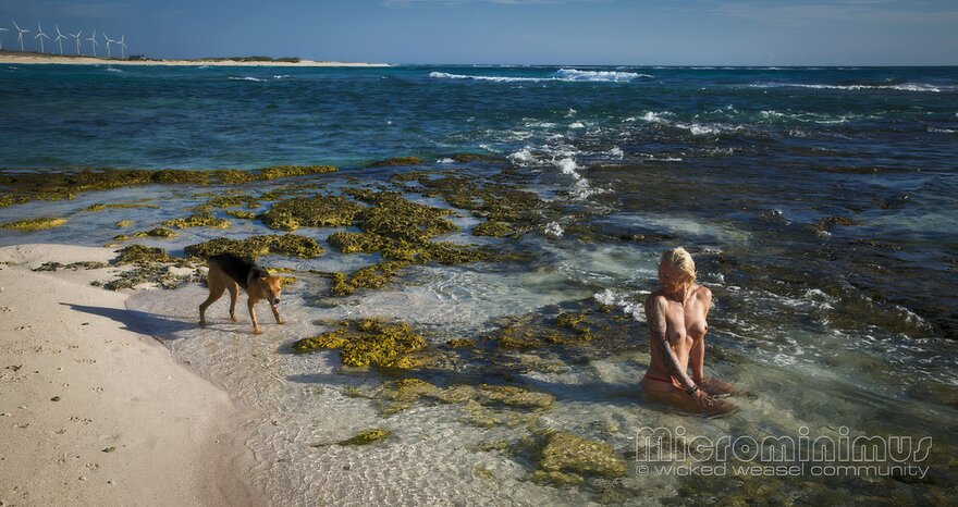 Red WW's on Aruba 129-topaz-enhance-4x