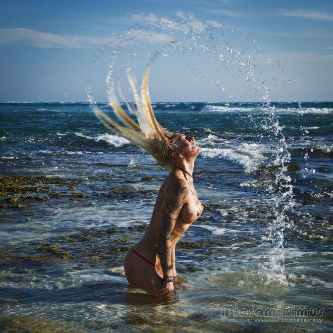 Red WW's on Aruba 131-topaz-enhance-3.7x