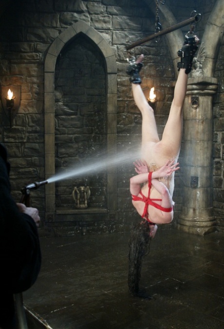 amateur photo 89281250_014_ea76